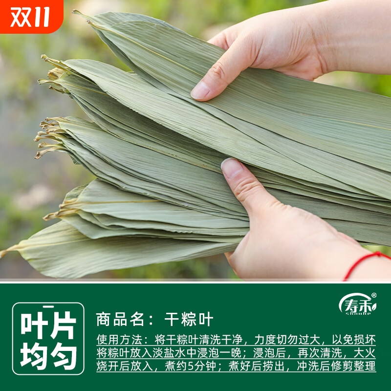 干粽叶粽子叶新鲜大号家用竹叶包粽子的粽叶特大码棕叶