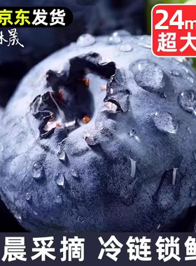 云南高山花香蓝莓头茬鲜果L25特大果怡佳颗沃应当季水果整箱包邮