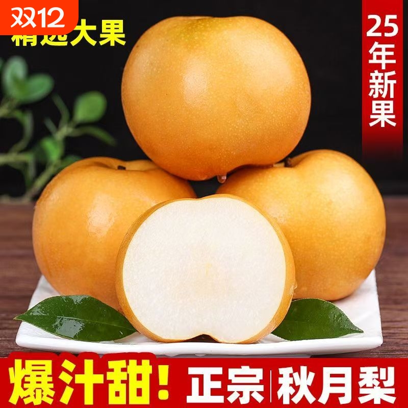 山东秋月梨4.5斤4-9个正宗冰糖梨子产地直销皮薄香甜整箱批发当季