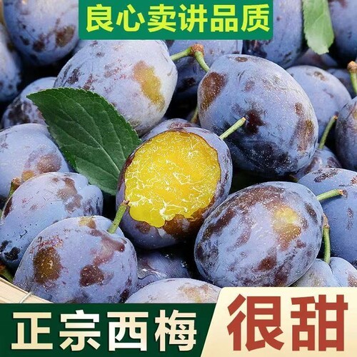 彩箱稀有大西梅鲜果新鲜水果当季高山正宗西梅李子批发孕妇西梅果