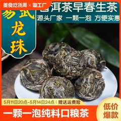 普洱茶生茶龙珠易武早春大树茶高品质纯料口粮茶小粒装迷你小沱茶