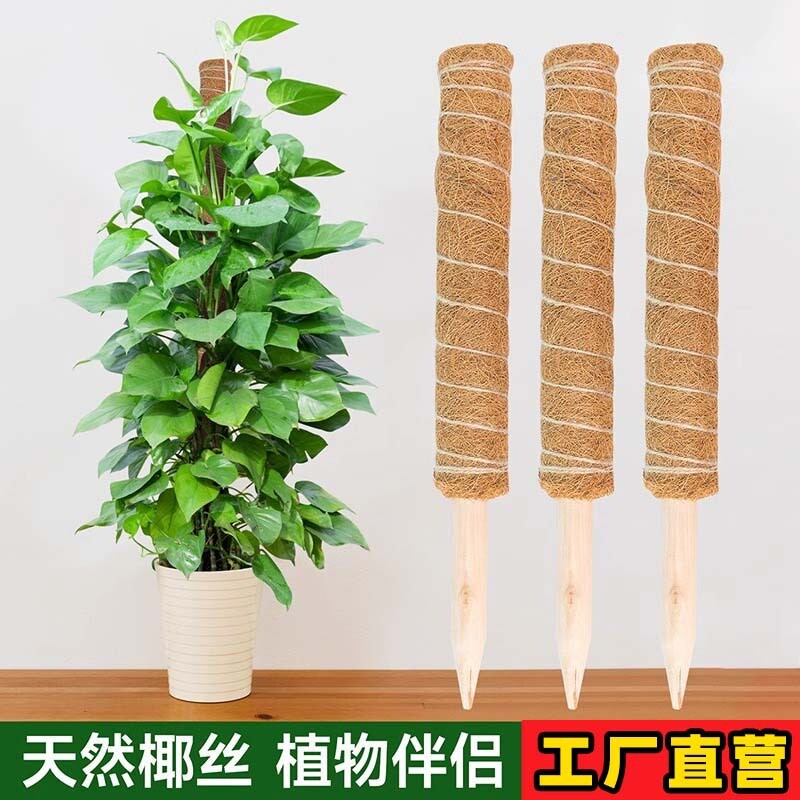 攀爬架椰棕植物柱棒支撑爬藤花架图片