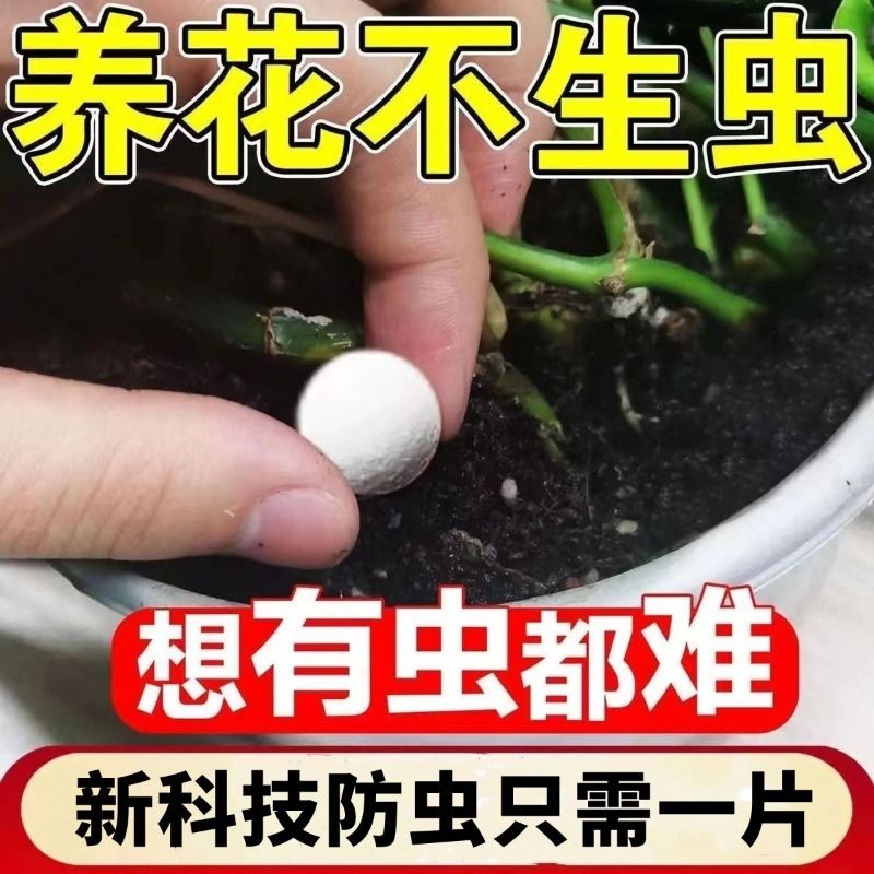 园艺防虫片驱虫除蚜虫蓟马白粉虱糖化硼肥片盆栽果花卉植物防烂根