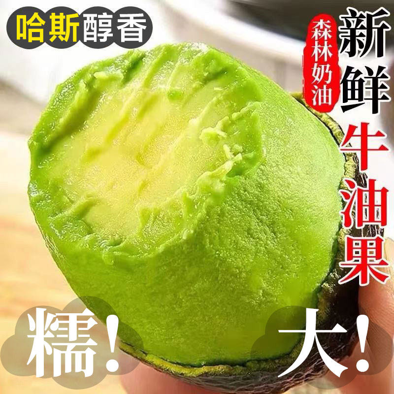 秘鲁进口牛油果孟连奶油果鳄梨巨无霸当季现摘新鲜水果包邮整箱