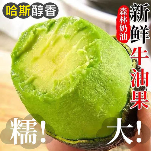 秘鲁进口牛油果孟连奶油果鳄梨巨无霸当季现摘新鲜水果包邮整箱