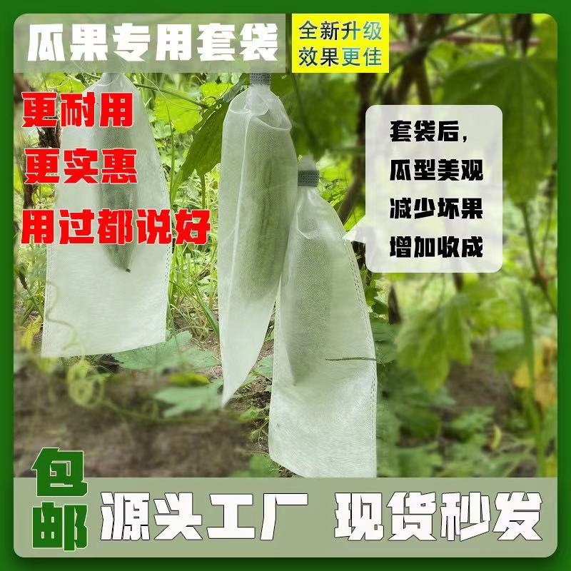 苦瓜套袋专用袋丝瓜黄瓜防虫网袋枇杷葡萄水果套袋无纺布瓜果套袋