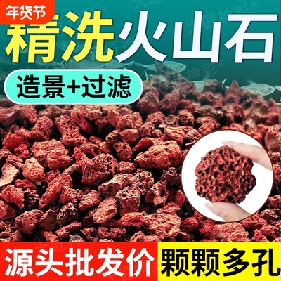 火山石鱼缸造景专用摆件底部砂石颗粒乌龟缸溪流石头古法养鱼免洗