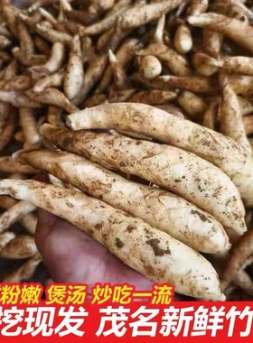新鲜竹薯农家现挖无渣竹芋5斤当季冬粉薯凉粉薯根茎薯煲汤炒菜