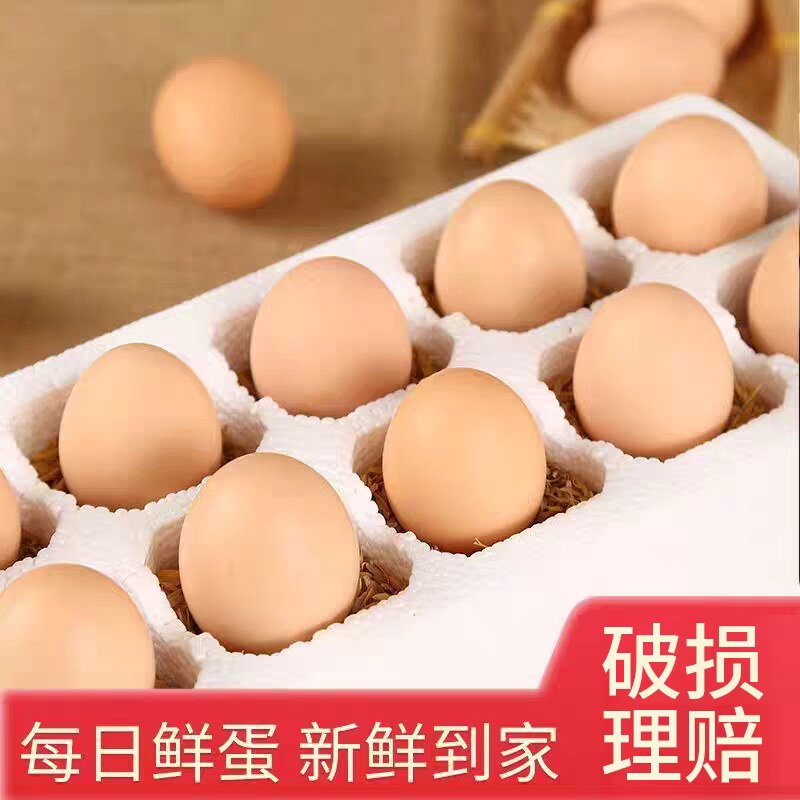 正宗散养新鲜土鸡蛋农家自养草鸡蛋柴鸡蛋笨鸡蛋初生蛋轻食40-50g