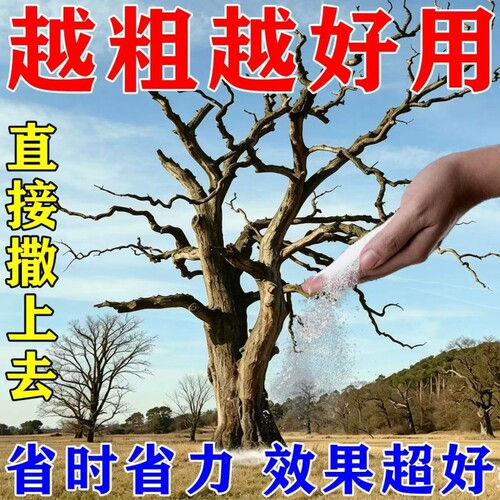 枯i死i专用药杂草竹子灌木专用腐燃根王腐蚀剂通用型园艺肥料J