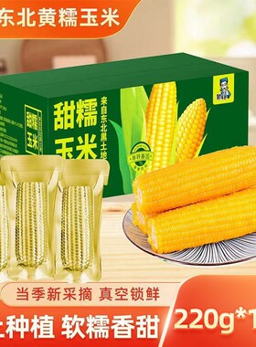 当季东北黏糯玉米棒真空