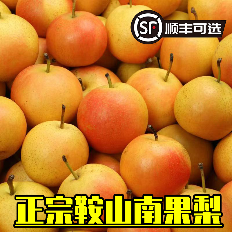 礼盒装鞍山南果梨南国香水梨东北特产新鲜礼盒水果鞍果梨发顺丰