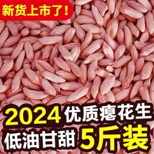 2024新山东新瘪花生米小花生小瘪子小粒小花生米农家甘甜零食新货