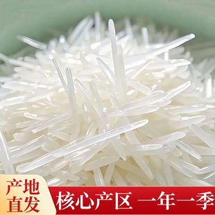 2025年晚稻正宗猫牙米长粒新米煲仔饭象牙香米晚稻五大常米煲仔饭