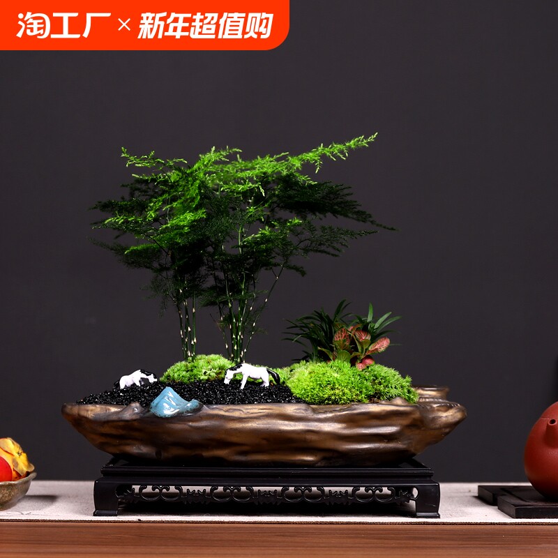 �ۻ��㣺����+�ƶ���+��̦+�ο��ķ����� �����Ժ� �������������쾰ֲ�������ʽ���������辰������ֲ�칫���ڰڼ�