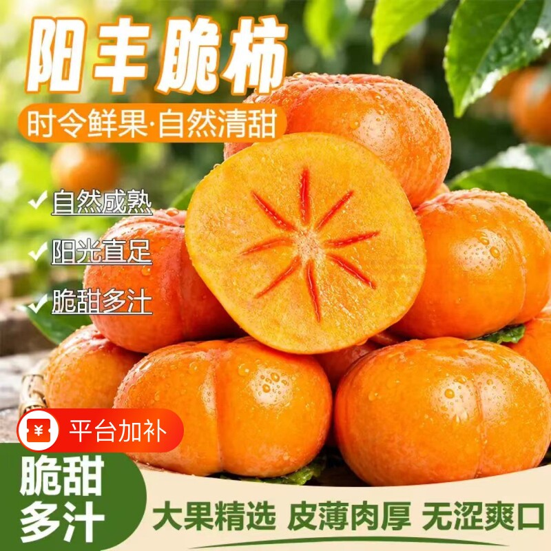山西新鲜水果柿子巧克力脆柿子当季正宗冰糖心黄甜脆火晶柿子整箱