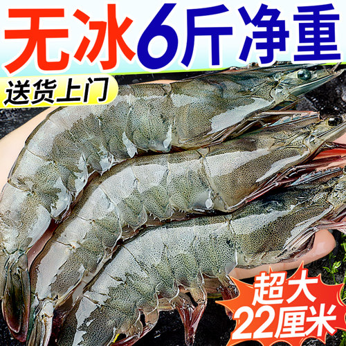 20/30特大青岛大虾鲜活速冻新鲜