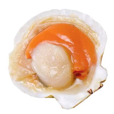 夏威夷贝半壳扇贝大带烧烤蒜蓉粉丝壳贝虾夷扇贝冷冻夏夷贝吊笼贝