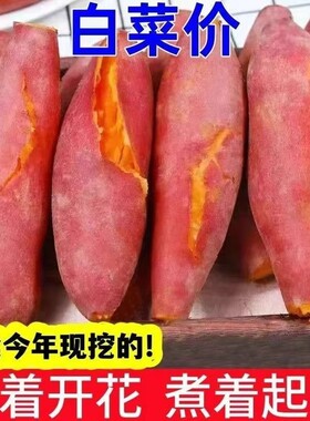 沙地蜜薯红薯新鲜烟薯番薯农家现发烤地瓜山芋红署自种小香薯黄心