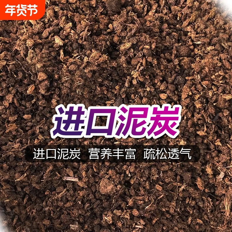 进口泥炭块状过筛通用纯泥炭颗粒纤维兰花天南星科块根十二卷景天,鲜花速递/花卉仿真/绿植园艺,介质/营养土,淘宝优惠券,粉丝福利购,淘宝优惠卷