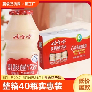 娃哈哈乳酸菌饮品100ml 40瓶整箱儿童营养哇哈哈益生菌酸奶小瓶装