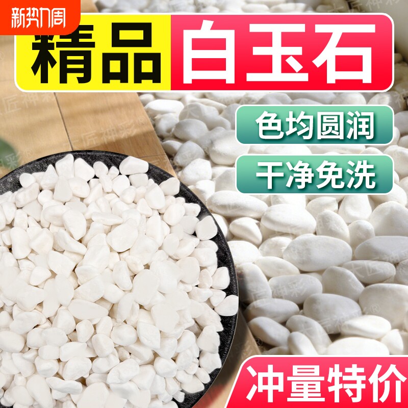 鹅卵石小白石子雨花石庭院造景多肉铺面园艺水培白色石头子鱼缸