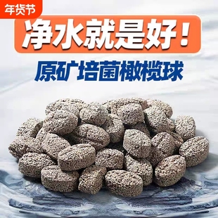 鱼缸过滤材料细菌屋滤材火山石陶瓷环用过滤器橄榄球生化净水生态