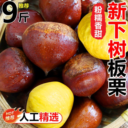 2025新鲜丹东板栗鲜果栗粉糯甘甜