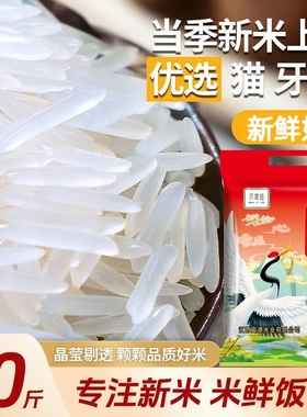 一级猫牙米20斤长粒香米晚稻新米超长香米1斤煲仔饭大米无氧包装