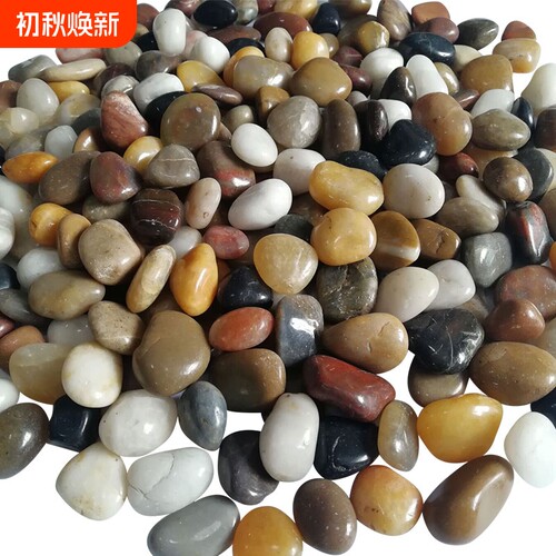 雨花石鱼缸造景原石|万人收藏