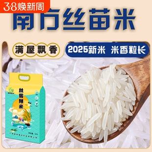 2025年新米长粒香大米10斤20斤当季晚稻粳米东北5KG真空丝苗籼米