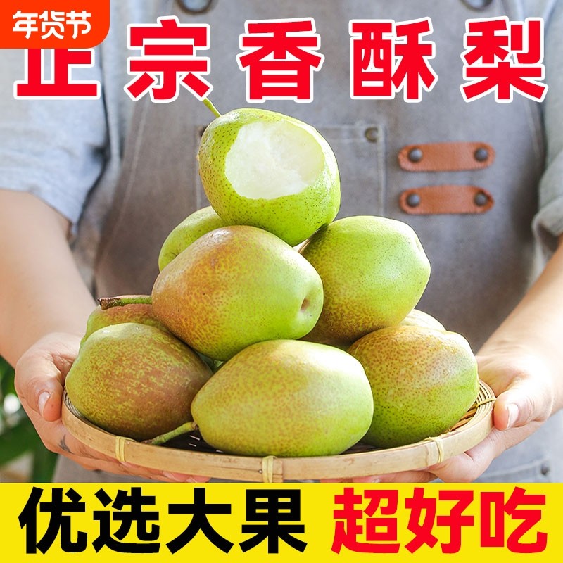 当季新鲜水果梨子脆甜红香酥梨9斤整箱薄皮香梨特价包邮年货节,水产肉类/新鲜蔬果/熟食,梨,淘宝优惠券,粉丝福利购,淘宝优惠卷