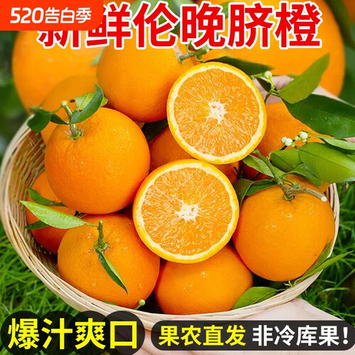 伦晚脐橙新鲜橙子当季水果果冻冰糖甜橙大果整箱包邮秭归脐橙鲜果