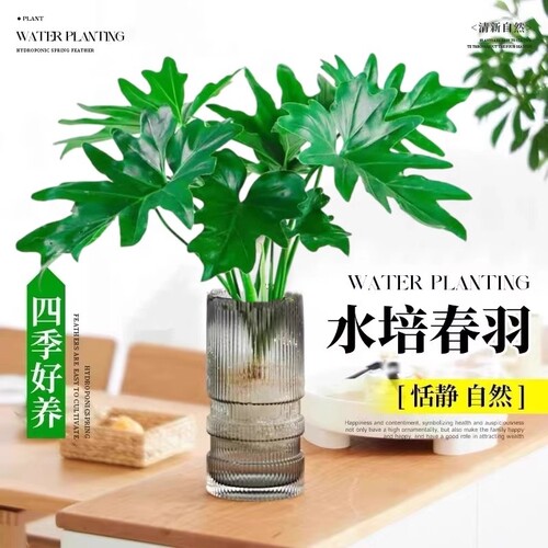 基地直销 新品特惠