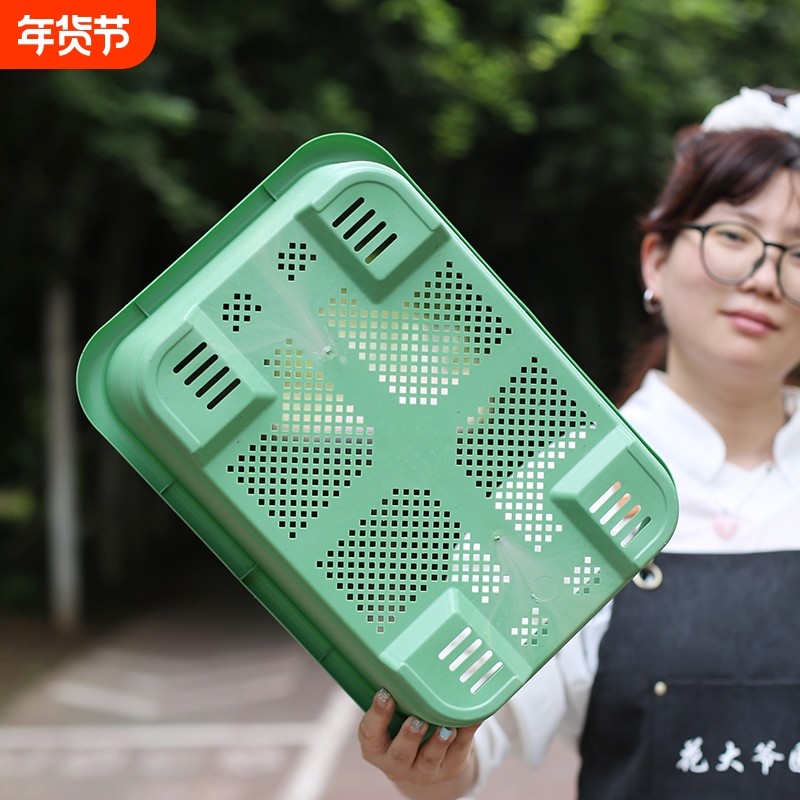 新款特大阳台种菜盆自吸水家用种菜专用盆长方形塑料蔬菜种植花盆,鲜花速递/花卉仿真/绿植园艺,花盆,淘宝优惠券,粉丝福利购,淘宝优惠卷