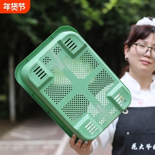 新款特大阳台种菜盆自吸水家用种菜专用盆长方形塑料蔬菜种植花盆