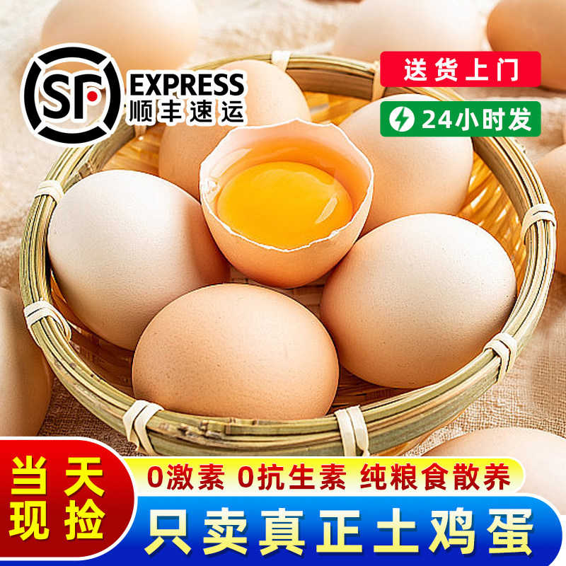 九华山土鸡蛋正宗散养农家新鲜草鸡蛋顺丰包邮宝宝辅食食材,水产肉类/新鲜蔬果/熟食,鸡蛋,淘宝优惠券,粉丝福利购,淘宝优惠卷