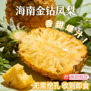 特产整箱自然熟现摘大果无眼新鲜水果 凤梨正宗海南金钻手撕当季