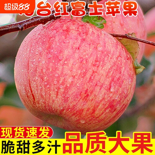 正宗山东烟台红富士苹果