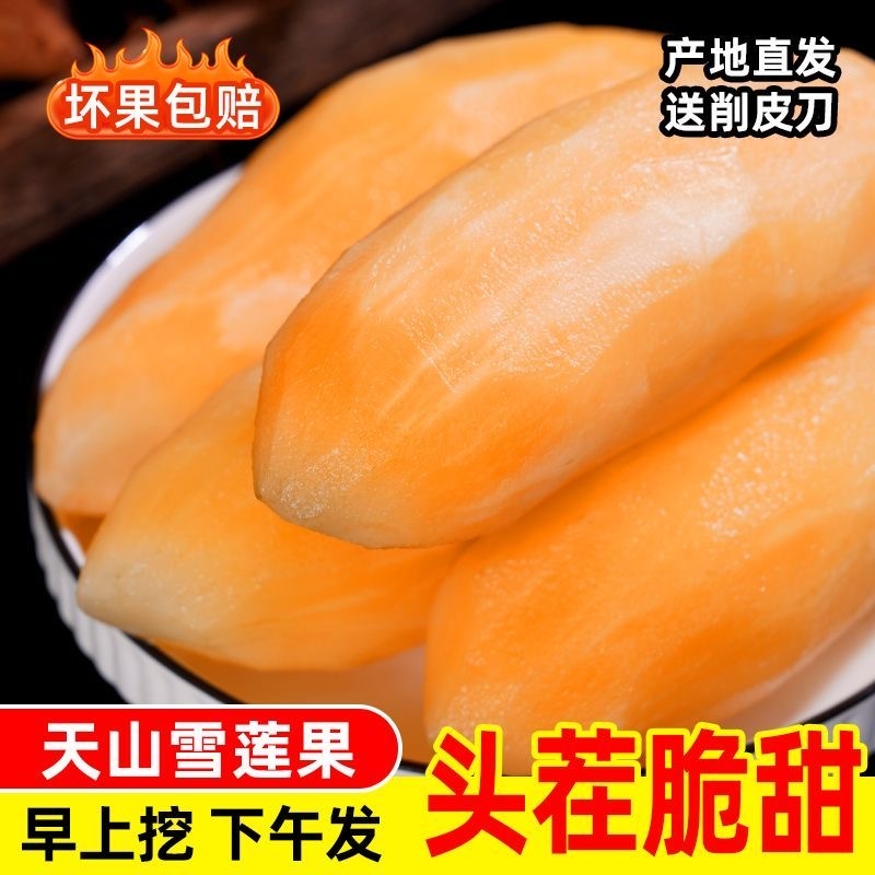 【整箱】云南高山雪莲果新鲜水果应当季云南天山雪连果孕妇水果甜