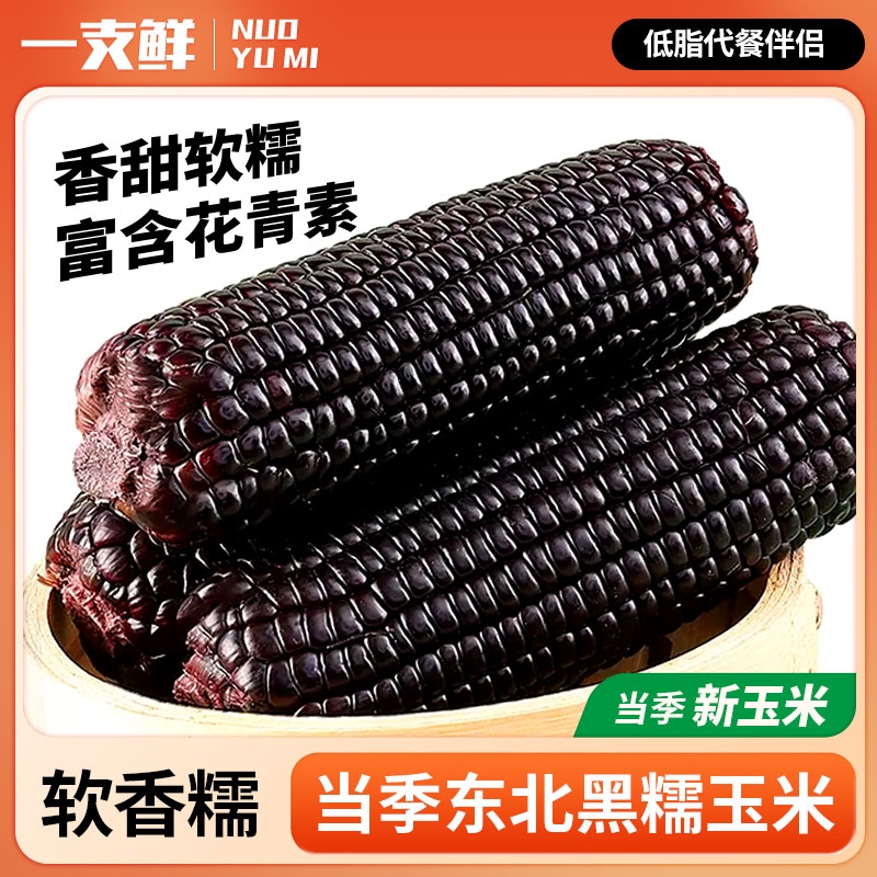 一支鲜黑糯玉米东北黑玉米真空装2025新鲜加热即食礼盒苞米粘玉米