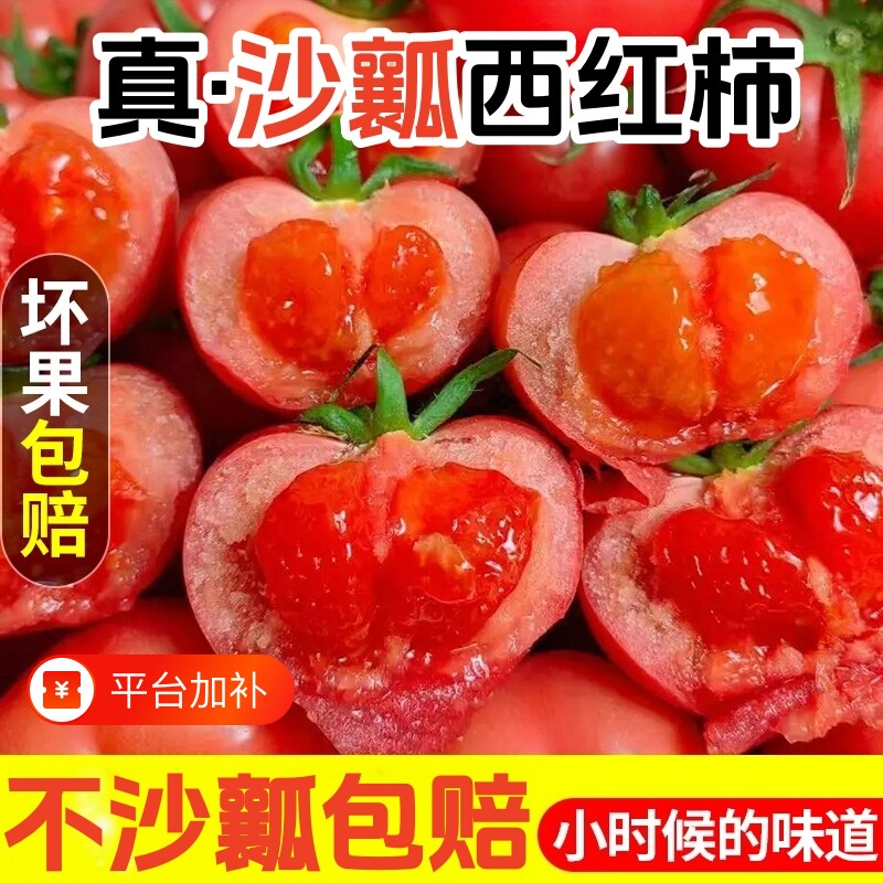 沙瓤爆汁西红柿新鲜自然熟生吃农家自种高山现摘酸甜老品种番茄