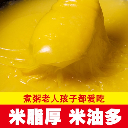 黄小米小米新米农家黄小米五谷杂粮米油小米粥农家小米