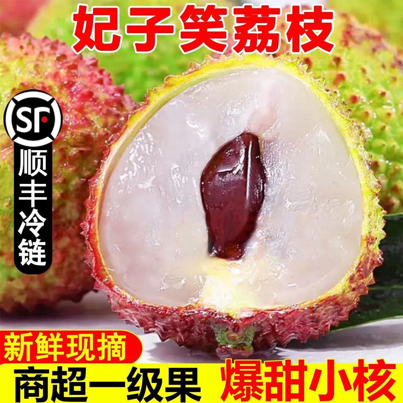 海南妃子笑荔枝【顺丰冷链】新鲜水果现摘鲜采当季老树大果3/5斤