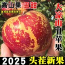 大凉山丑苹果新鲜水果当季 现摘盐源冰糖心苹果