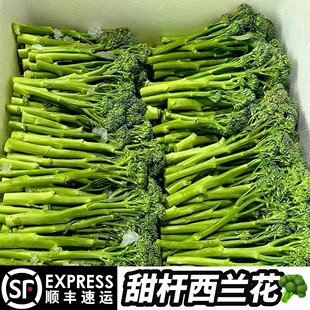 新鲜甜杆西蓝苔西蓝花笋苔芦笋西兰花苔菜苔蔬菜花菜苔