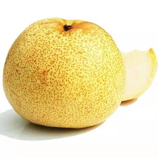 新鲜砀山梨黄河故道沙土地优质梨酥脆多汁