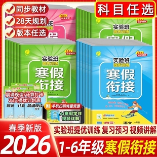 新实验班寒假衔接一年级二年级三四五六年级上册下册语文数学英语人教苏教北师大版练习册小学生同步寒假作业提优训练计算解题科学