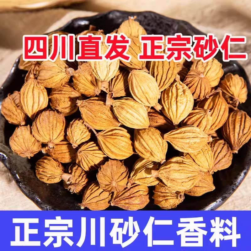川砂仁香料商用500g干货香砂仁果