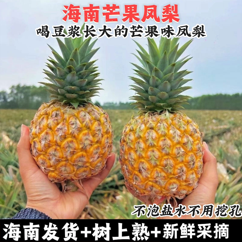 淡淡芒果香海南芒果凤梨新鲜采摘